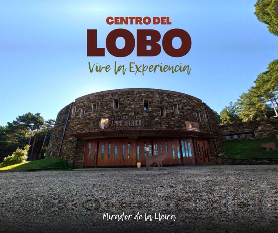 centro del lobo iberico